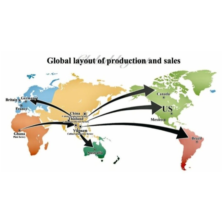 Global layout of production and sales