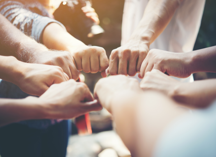 Crafted with Precision